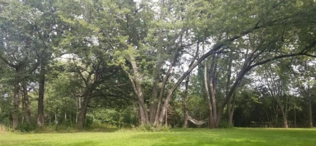 Kuechmann Arboretum, United States